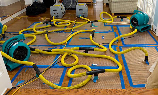 Professional Basement Flood Cleanup technician working in Gratz, PA